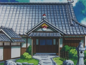 Ecruteak City Pokemon Center.png